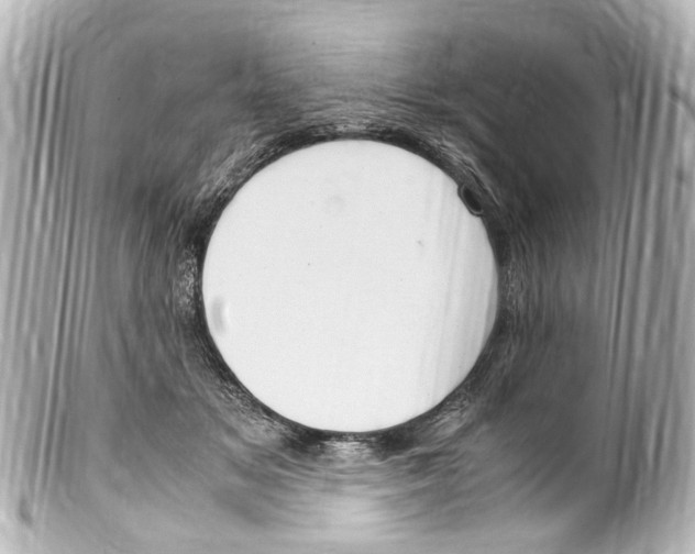 X0000099400509200805291213