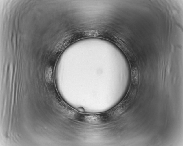 X0000099400511200805291213