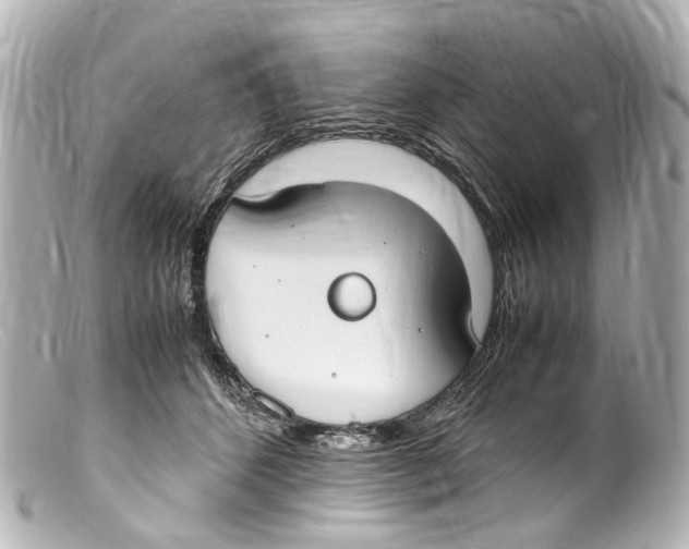 X0000099400512200805291213