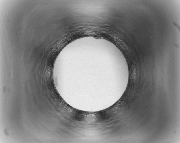 X0000099400513200805291213