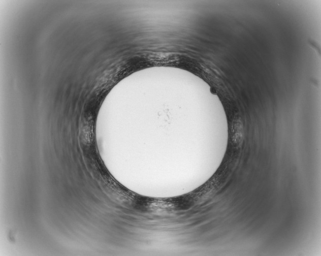 X0000099400515200805291213