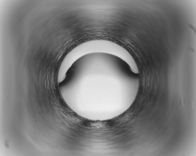 X0000099400516200805291213