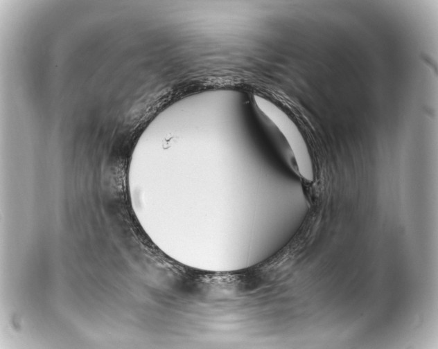 X0000099400517200805291213