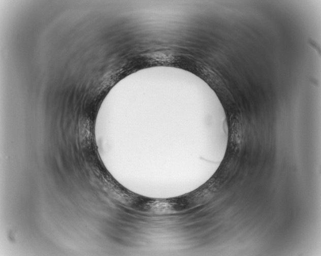 X0000099400518200805291213