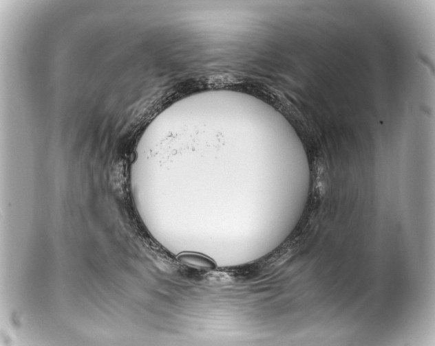 X0000099400519200805291213