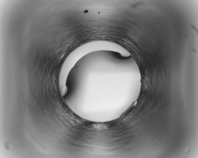 X0000099400520200805291212