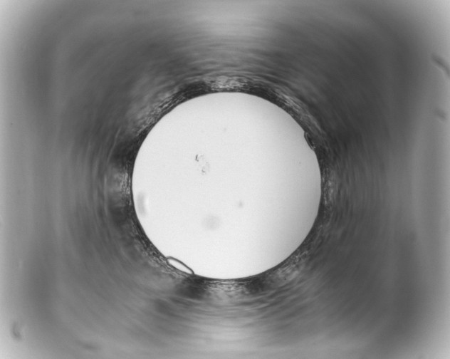 X0000099400521200805291212