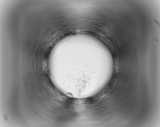 X0000099400523200805291212