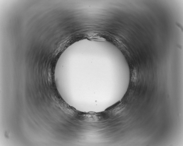 X0000099400524200805291212