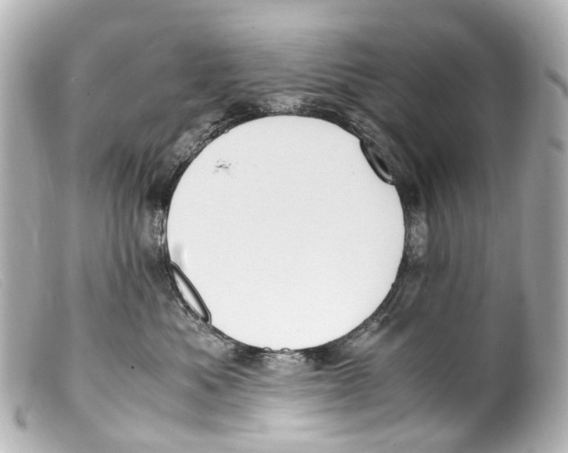 X0000099400525200805291212