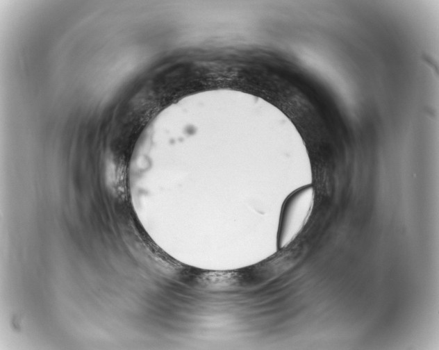 X0000099400526200805291212