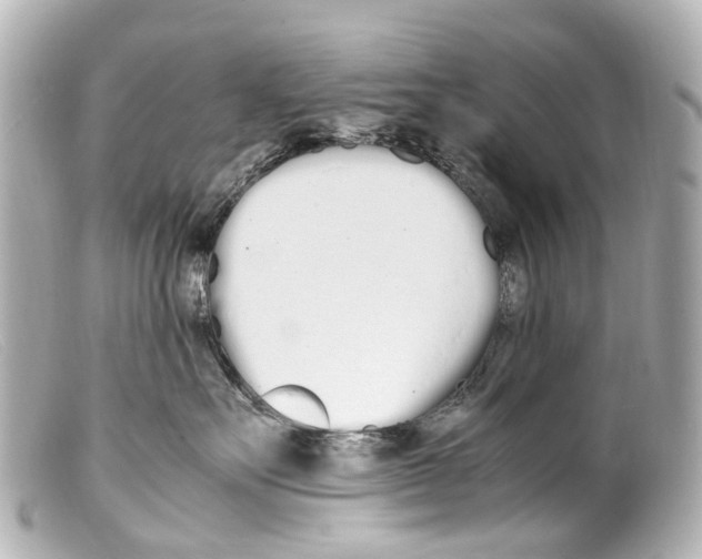 X0000099400527200805291212