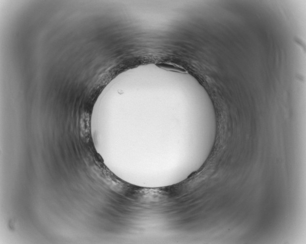 X0000099400528200805291212