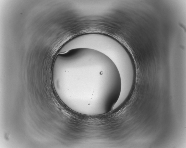 X0000099400529200805291212