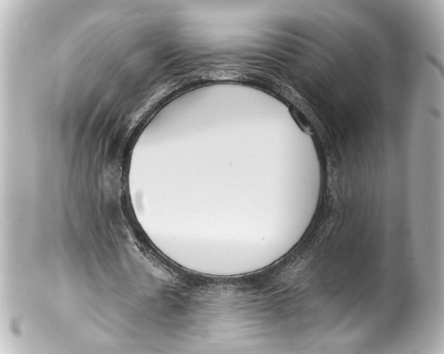 X0000099400530200805291212