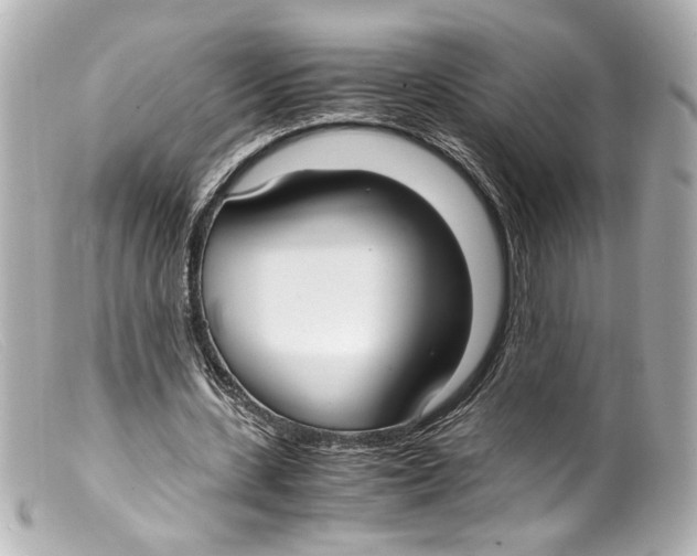 X0000099400531200805291212