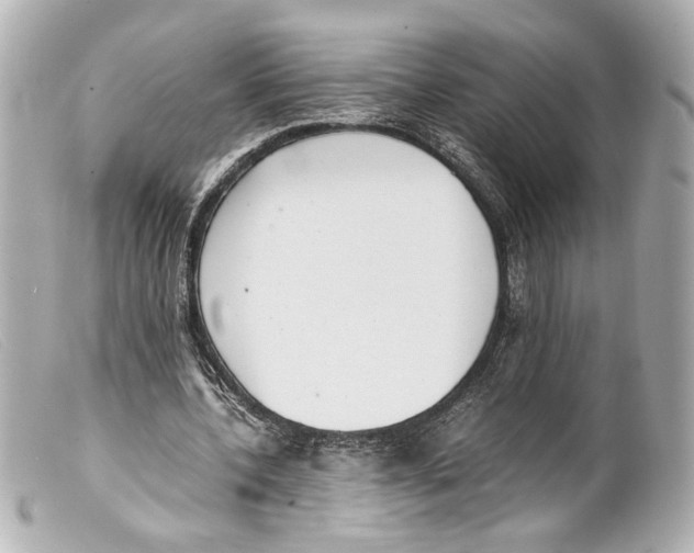 X0000099400532200805291212