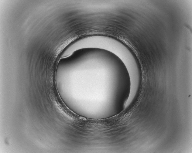 X0000099400533200805291212