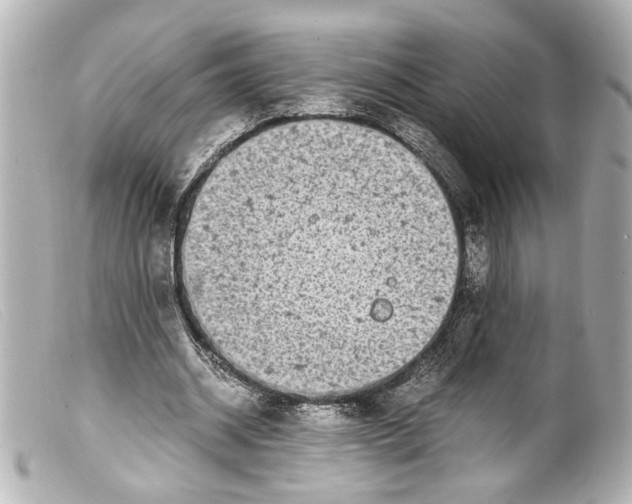 X0000099400534200805291212