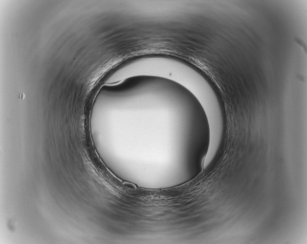 X0000099400535200805291212