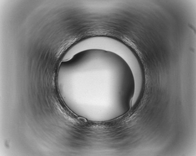 X0000099400537200805291212