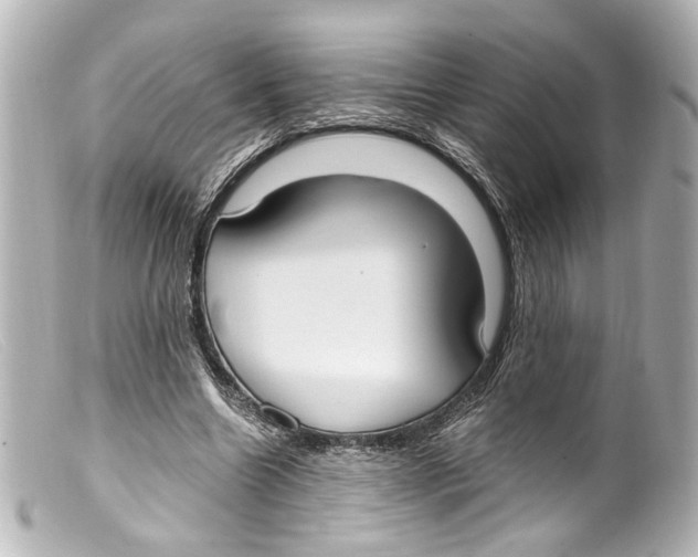 X0000099400538200805291212