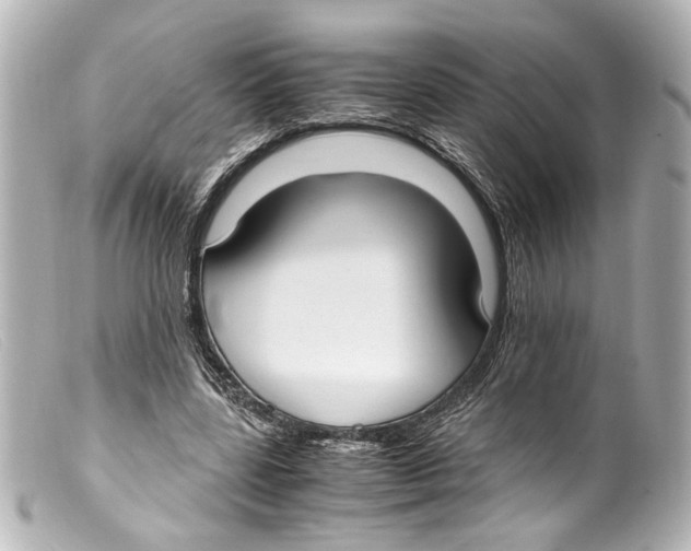 X0000099400539200805291212