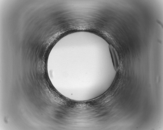 X0000099400540200805291212