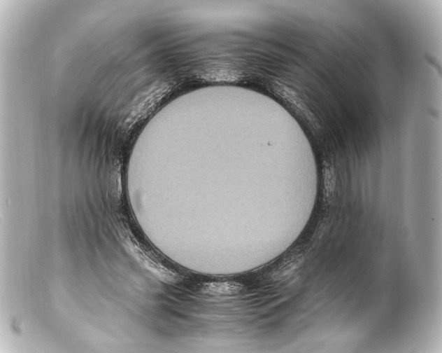 X0000099400541200805291212