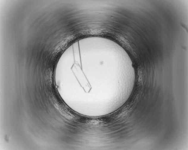 X0000099400542200805291212