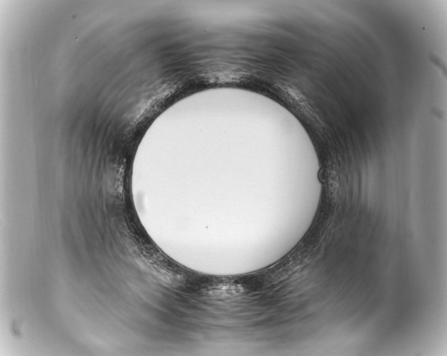 X0000099400543200805291212