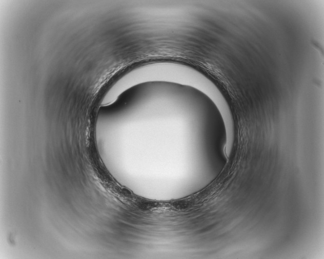 X0000099400544200805291212