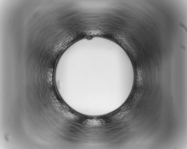 X0000099400545200805291212