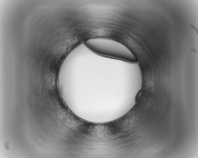 X0000099400546200805291212