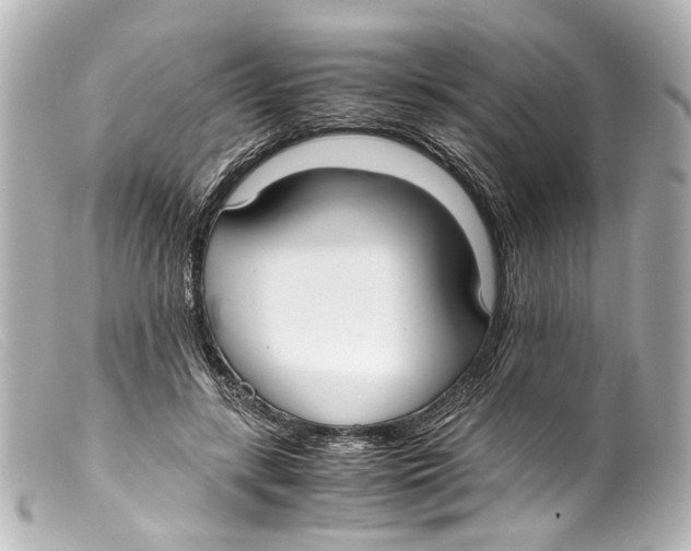 X0000099400547200805291212