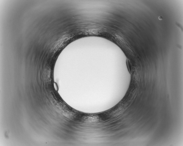 X0000099400548200805291212