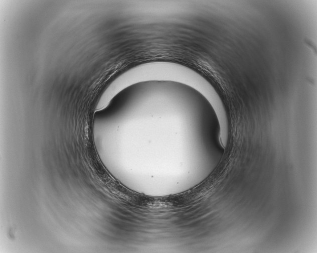 X0000099400549200805291212