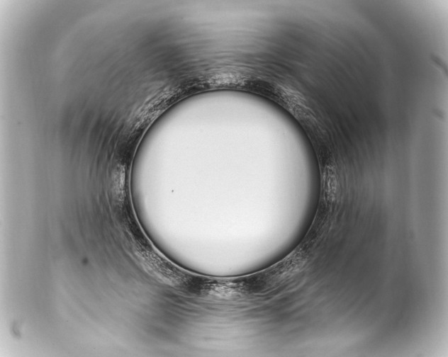 X0000099400550200805291212