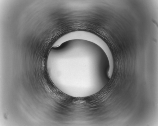 X0000099400551200805291212