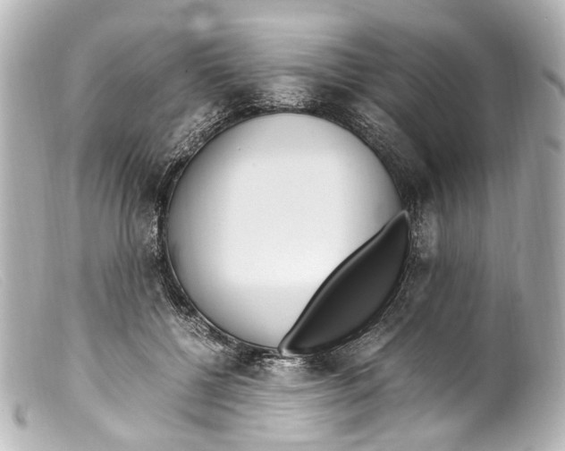 X0000099400552200805291212