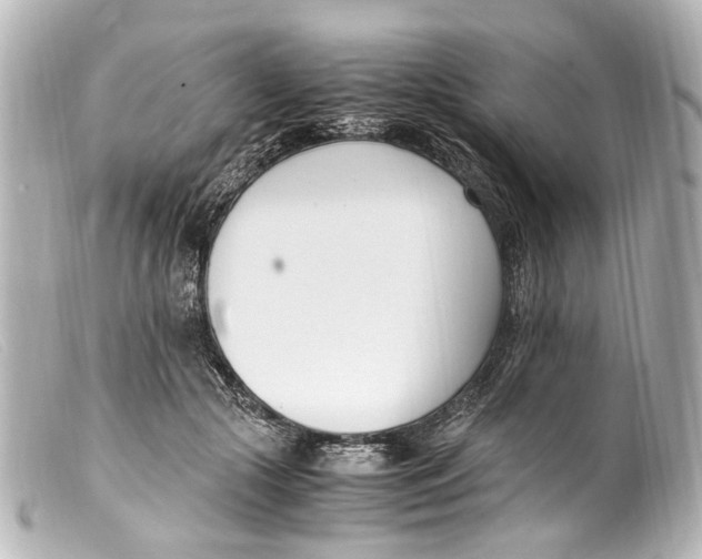 X0000099400553200805291212