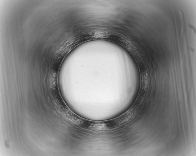 X0000099400554200805291212