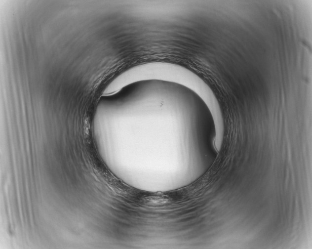 X0000099400555200805291212