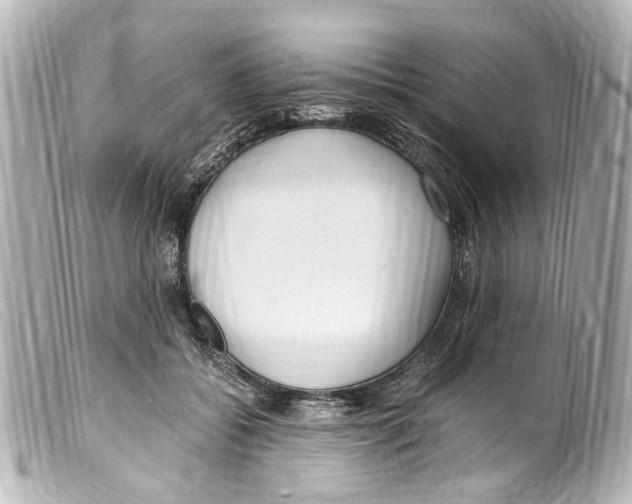 X0000099400556200805291212