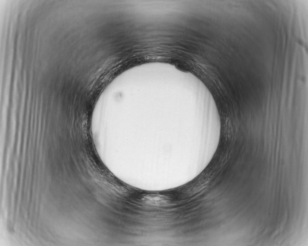 X0000099400557200805291212