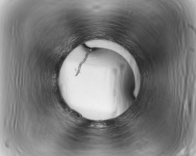 X0000099400559200805291212