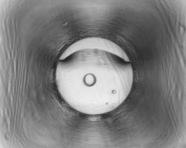 X0000099400560200805291212