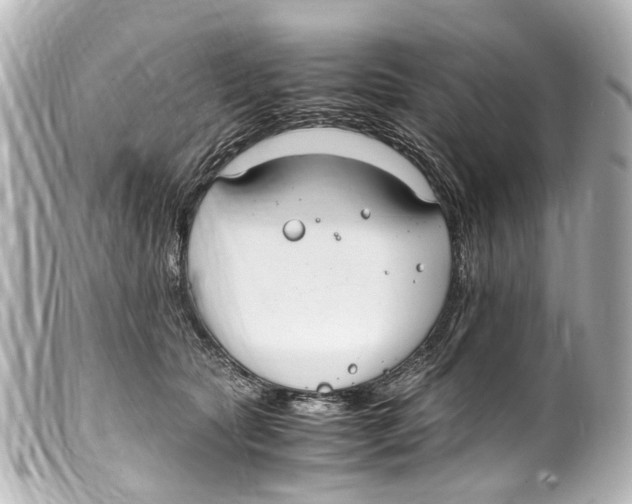 X0000099400561200805291212