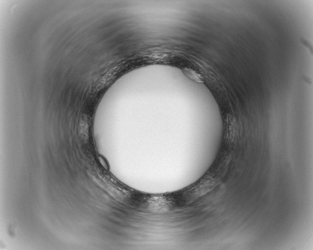 X0000099400562200805291212