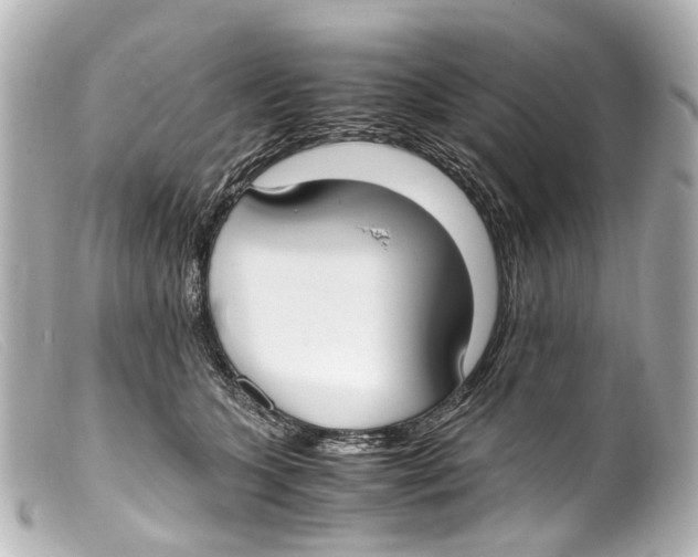 X0000099400563200805291212